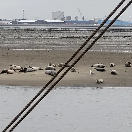 Det Bla Gaestehus Hotel *