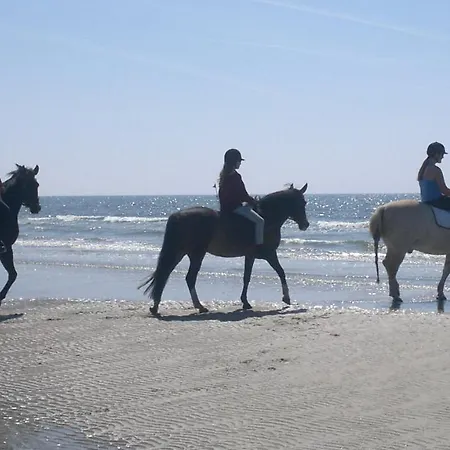 Det Bla Gaestehus Hotel